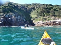 D1-012-WS-West side of Cabbage Tree